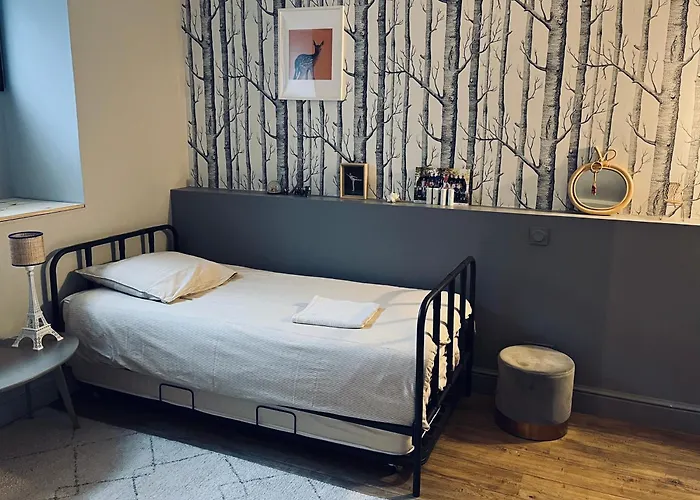 Villa Family House Centre, Pool, Garden, Air Conditioning Bordeaux